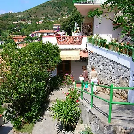Alma 3*