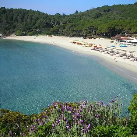 Hotel Alma