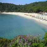 Hotel Alma